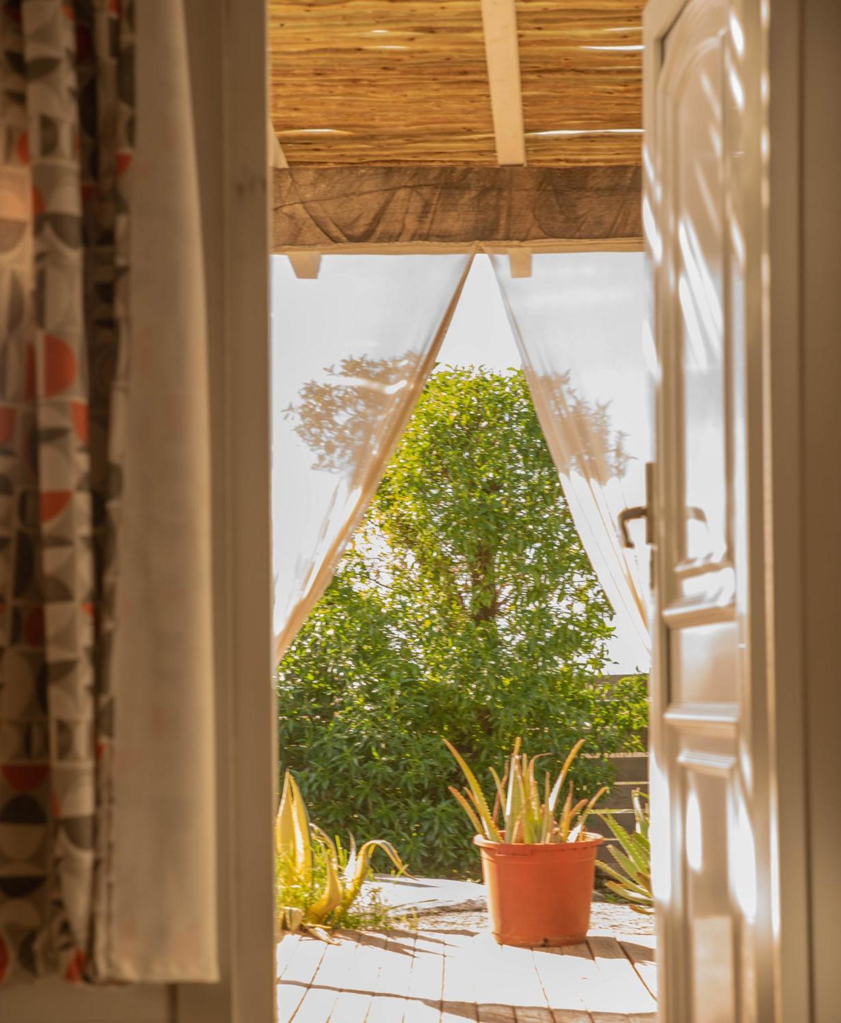 La Cabana A Orillas Del Palmar Cadiz